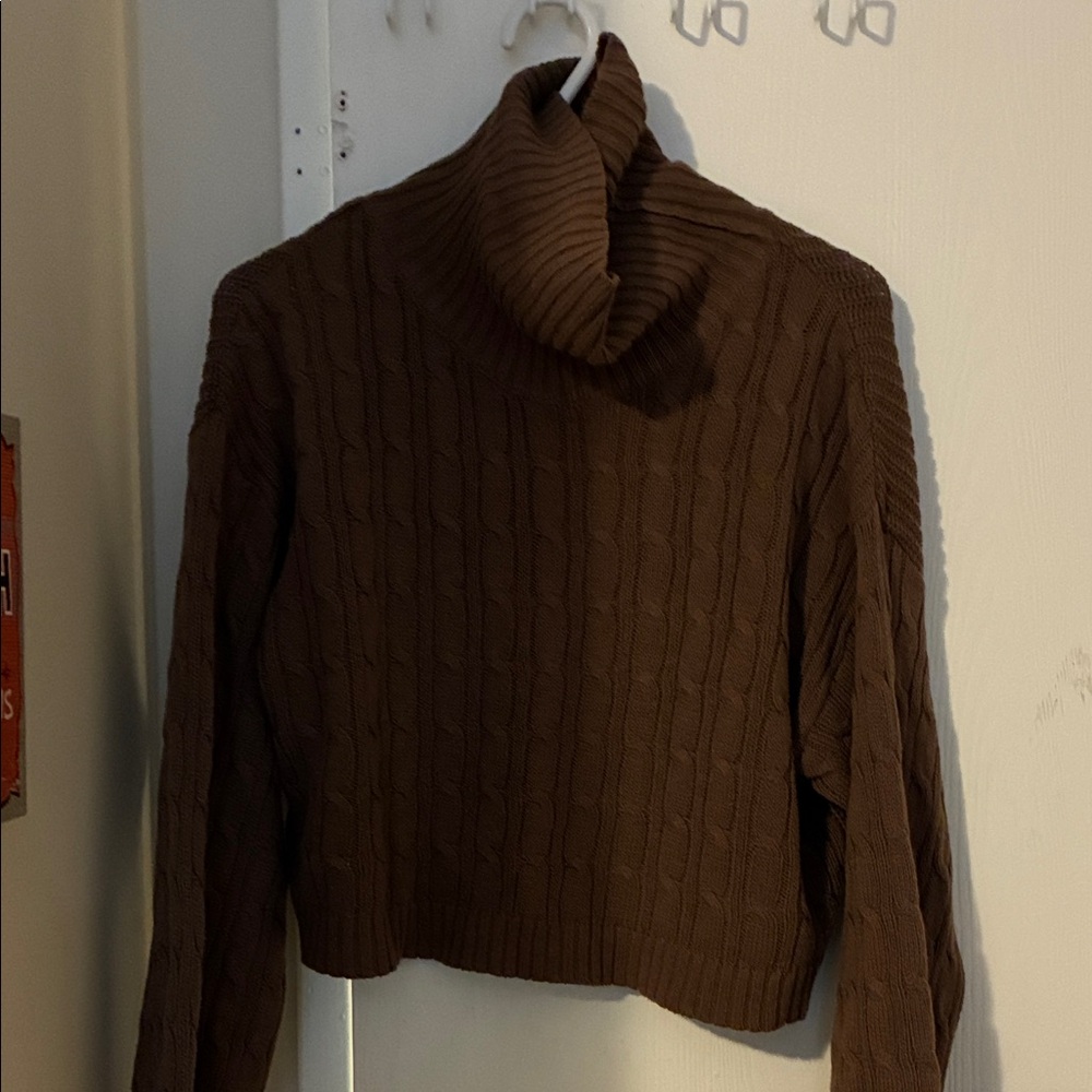 Ambiance Brown Cable Knit Turtleneck Sweater